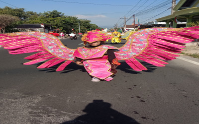 Dua Merak Membuka Jalan Parade Kemerdekaan.